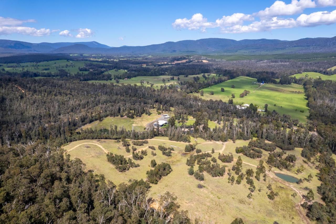 Saladin Lodge Narbethong エクステリア 写真