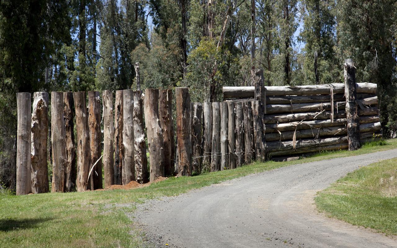 Saladin Lodge Narbethong エクステリア 写真