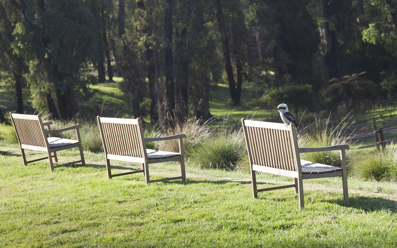 Saladin Lodge Narbethong エクステリア 写真