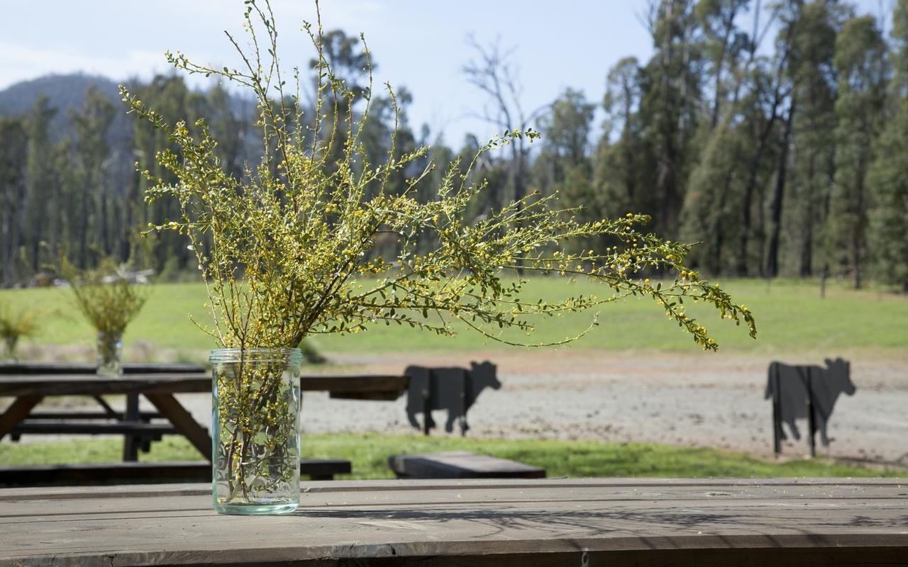 Saladin Lodge Narbethong エクステリア 写真