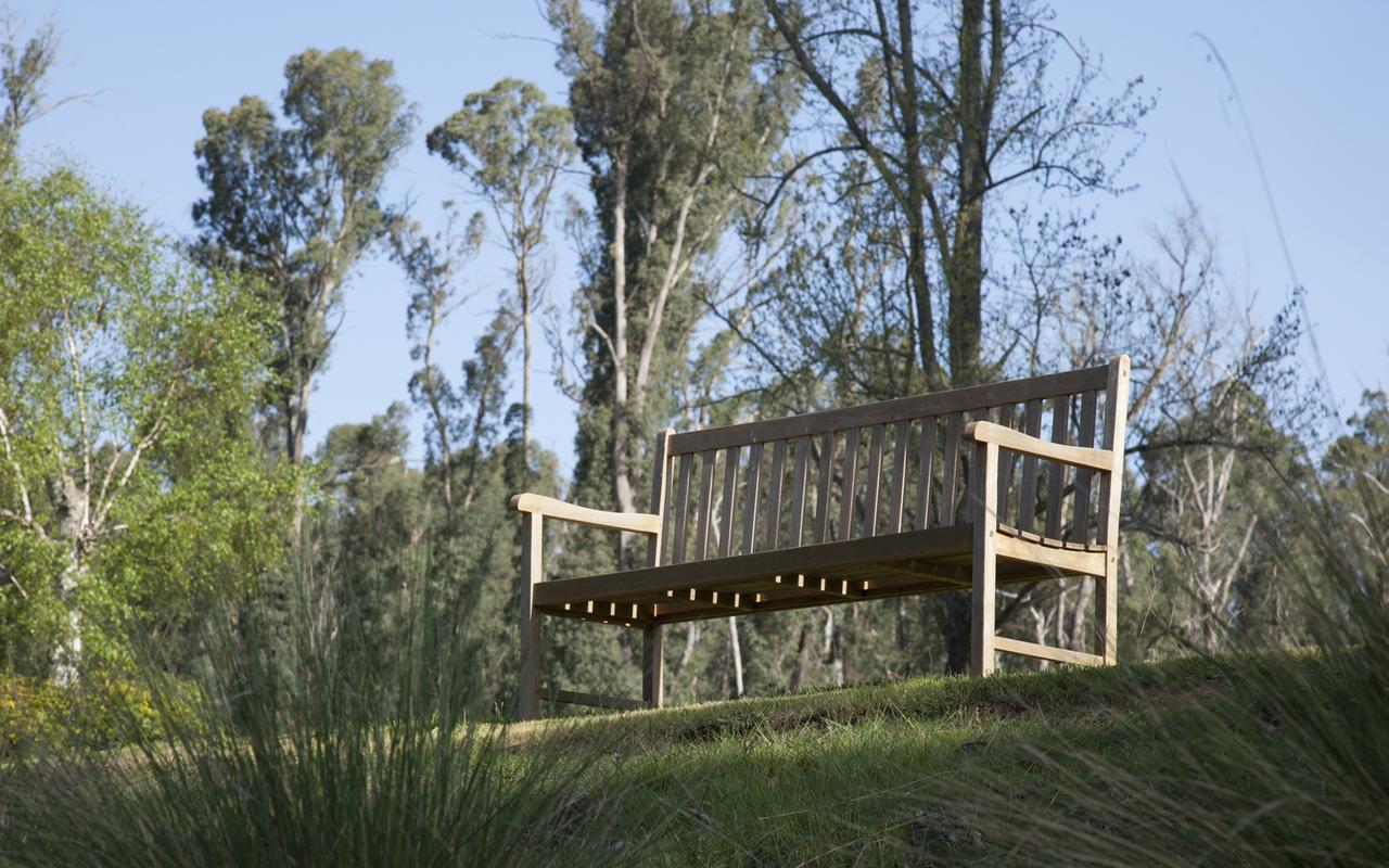 Saladin Lodge Narbethong エクステリア 写真