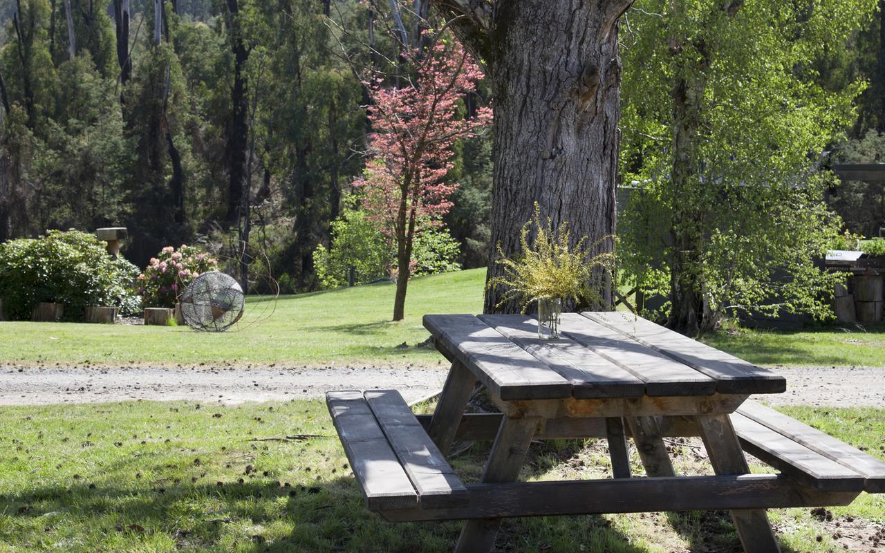 Saladin Lodge Narbethong エクステリア 写真