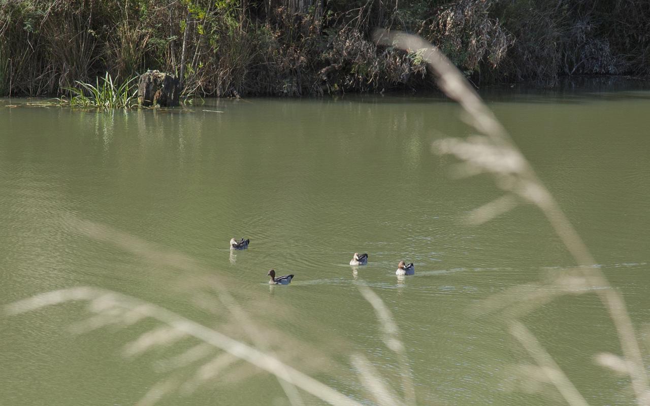 Saladin Lodge Narbethong エクステリア 写真