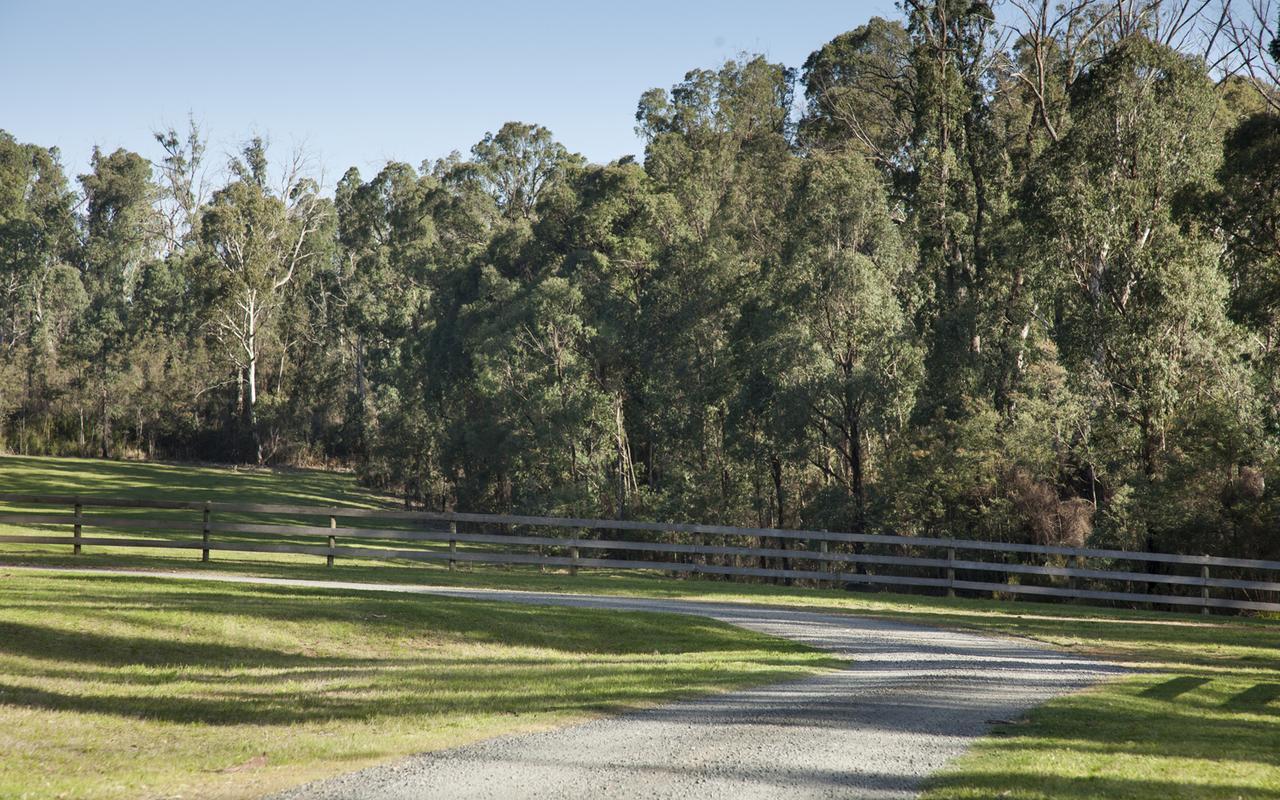 Saladin Lodge Narbethong エクステリア 写真