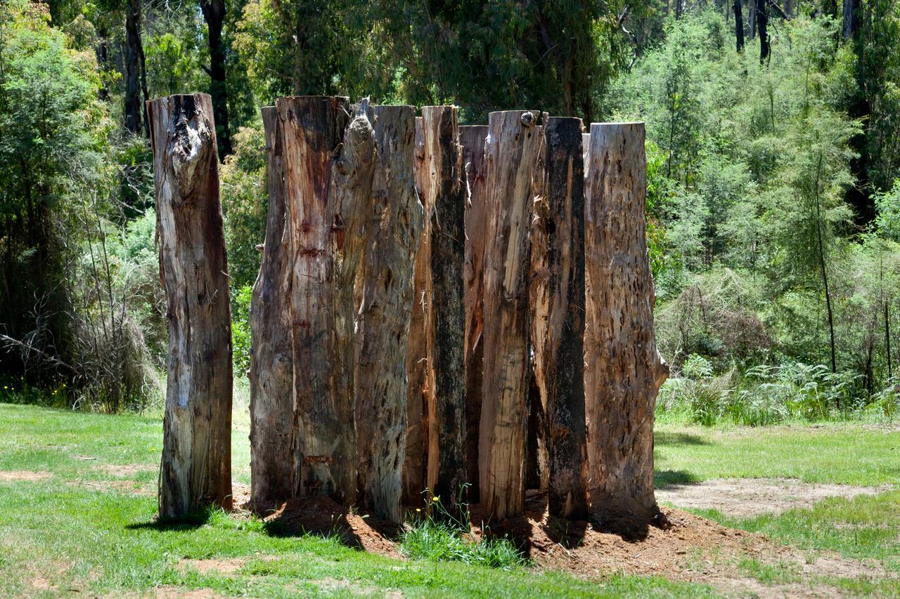 Saladin Lodge Narbethong エクステリア 写真